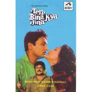 Tere Bina Kya Jeena (1989) Album Art