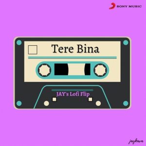 Tere Bina (Lofi Flip) (2021) Album Art