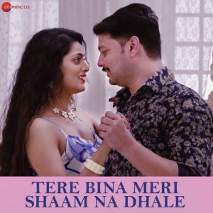 Tere Bina Meri Shaam Na Dhale (2019) Album Art