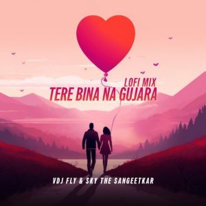 Tere Bina Na Gujara (LoFi Mix) (2025) Album Art