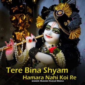 Tere Bina Shyam Hamara Nahi Koi Re