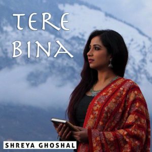Tere Bina – Single (2018) Album Art