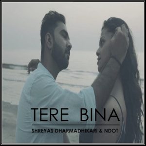 Tere Bina (feat. NDot) (2019) Album Art