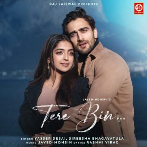Tere Bin… (2024) Album Art