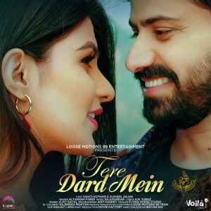 Tere Dard Mein (2022) Album Art