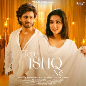 Tere Ishq Ne (2023) Album Art