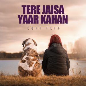 Tere Jaisa Yaar Kahan (Lofi Flip) (2023) Album Art