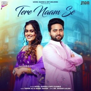Tere Naam Se (2024) Album Art