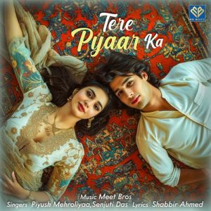 Tere Pyaar Ka (2024) Album Art