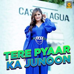 Tere Pyaar Ka Junoon (1998) Album Art