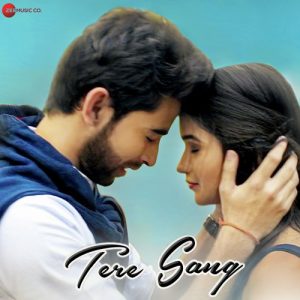 Tere Sang (2020) Album Art
