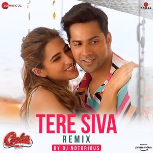 Tere Siva Remix by DJ Notorious (2021) Album Art