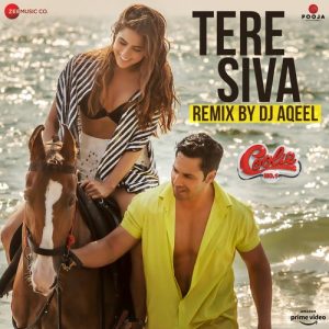 Tere Siva Remix by Dj Aqeel (2021) Album Art