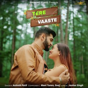 Tere Vaaste (2023) Album Art