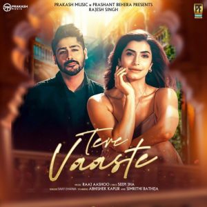 Tere Vaaste (2025) Album Art