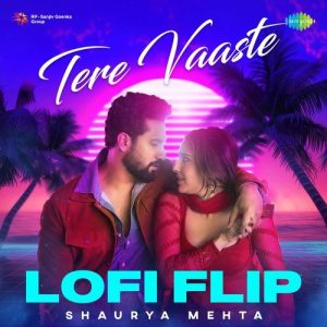 Tere Vaaste – Lofi Flip (2024) Album Art