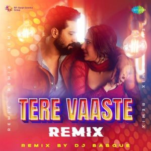 Tere Vaaste – Remix (2023) Album Art