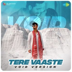 Tere Vaaste – Void Version (2024) Album Art