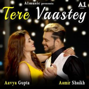Tere Vaastey (2020) Album Art