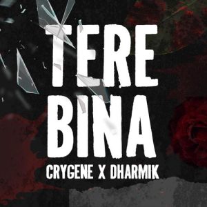 Tere bina