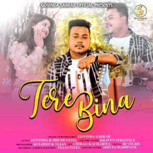 Tere bina
