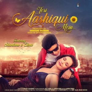 Teri Aashiqui Mein Album Art