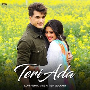 Teri Ada (LoFi Remix) (2022) Album Art