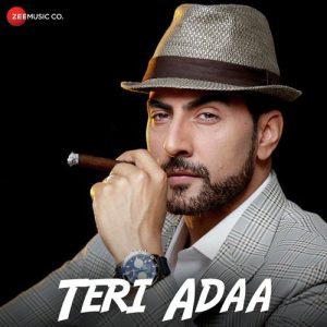 Teri Adaa (2018) Album Art