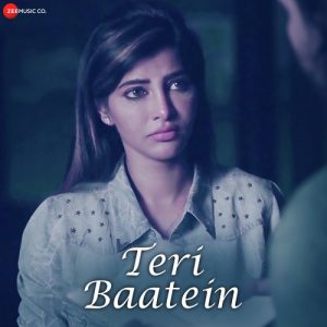 Teri Baatein (2019) Album Art