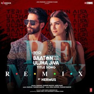 Teri Baaton Mein Aisa Uljha Jiya Title Song Remix (2024) Album Art