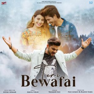 Teri Bewafai (2022) Album Art