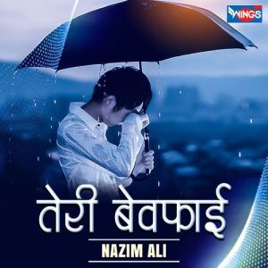 Teri Bewafai