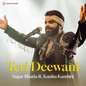 Teri Deewani (Sufi Version) (2024) Album Art