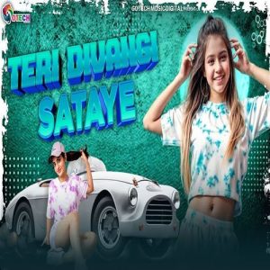 Teri Divangi Sataye (2025) Album Art