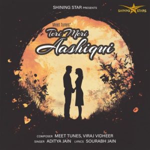 Teri Meri Aashiqui (2024) Album Art