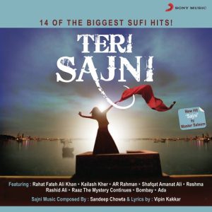 Teri Sajni (2010) Album Art