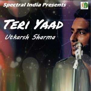 Teri Yaad (ROMANTIC SONG) (2020) Album Art