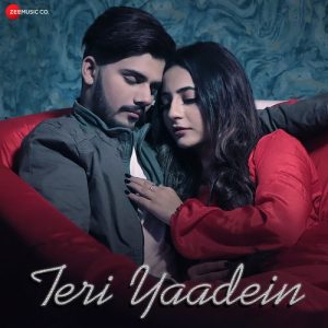 Teri Yaadein (2021) Album Art