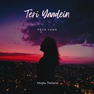 Teri Yaadein (2023) Album Art