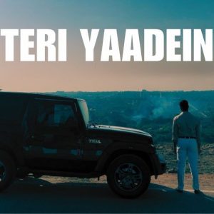 Teri Yaadein (2025) Album Art