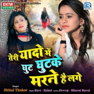 Teri Yaado Mein Ghut Ghutke Marne Hai Lage (2021) Album Art