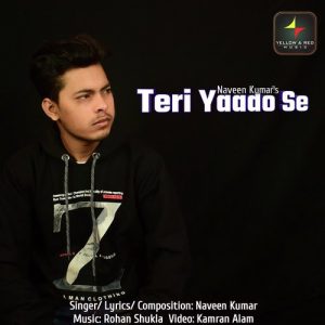 Teri Yaado Se (2019) Album Art