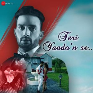 Teri Yaadon Se (2021) Album Art