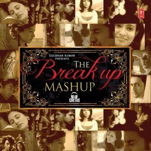 The Break Up Mashup (2014) Album Art