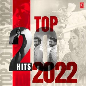 Top 20 Hits – 2022 (2023) Album Art