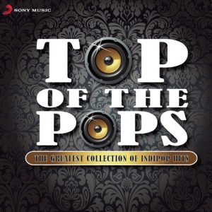 Top of the Pops (2011) Album Art