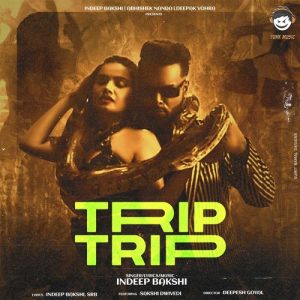 Trip Trip (2021) Album Art
