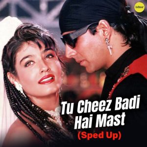 Tu Cheez Badi Hain Mast (Sped Up) (2024) Album Art