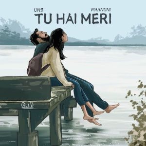 Tu Hai Meri (2024) Album Art