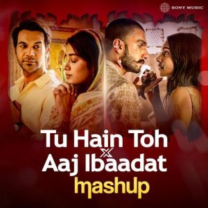 Tu Hain Toh x Aaj Ibaadat (Mashup) (2024) Album Art